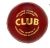 Club cricket ball
